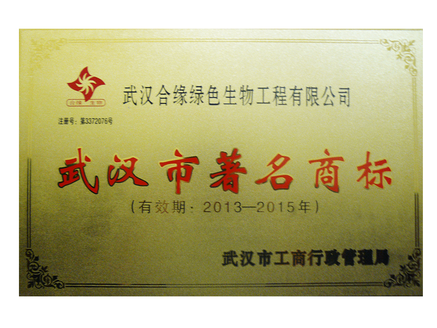2013武汉市著名商标